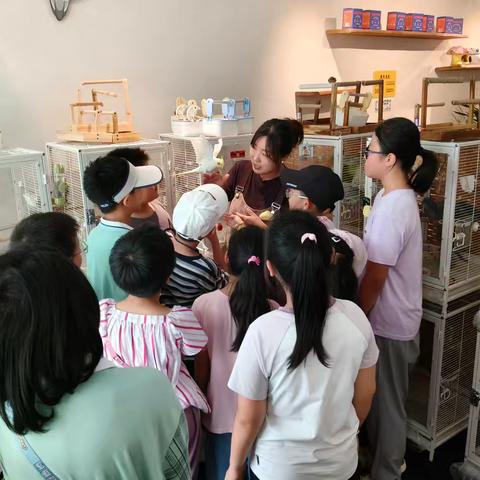 夏风里的知识奇遇记：小舜雁夏令营携自然科普与法治宣讲护航童行