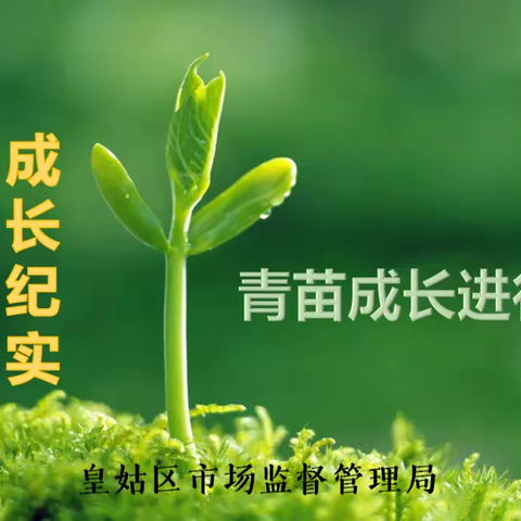 🌱青苗之声，成长纪实——皇姑区市场局青苗奋进正当时(第二纪)