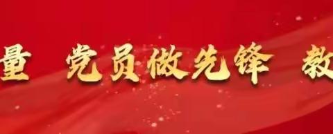 “党建引领    志愿同行”——西湖镇小学家长志愿者扫雪除冰行动