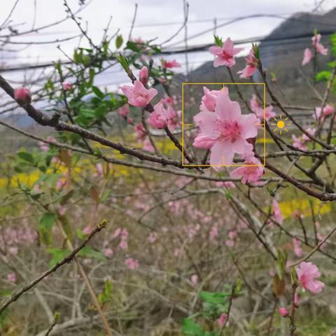 去有风的地方