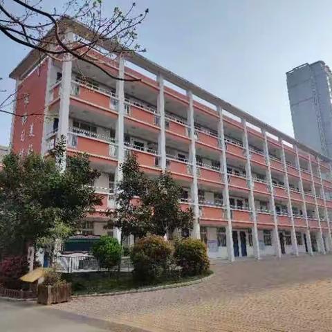 花开有时 研无止境 洛龙区第一实验小学翠云路分校数学教研