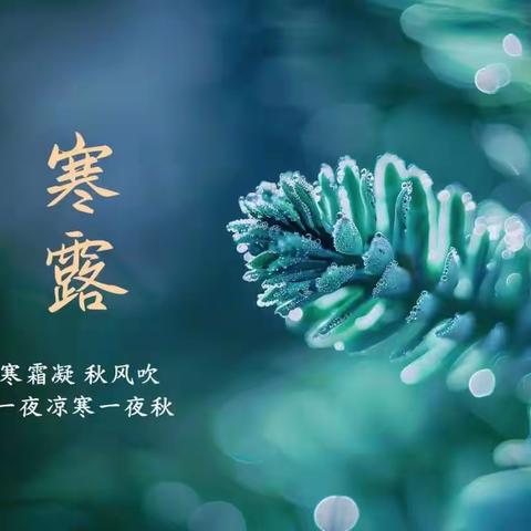 第七周食谱回顾 第八周食谱预告