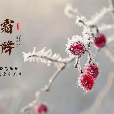 第九周食谱回顾 第十周食谱预告