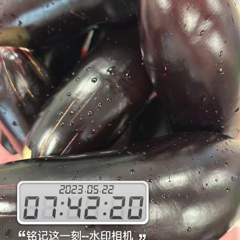 5.22宁波绿动体系安全日报