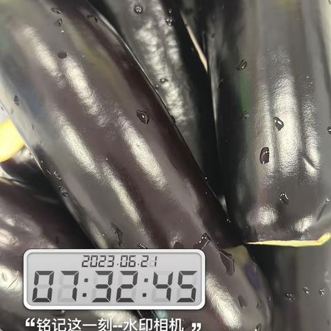 6.21宁波绿动体系安全日报