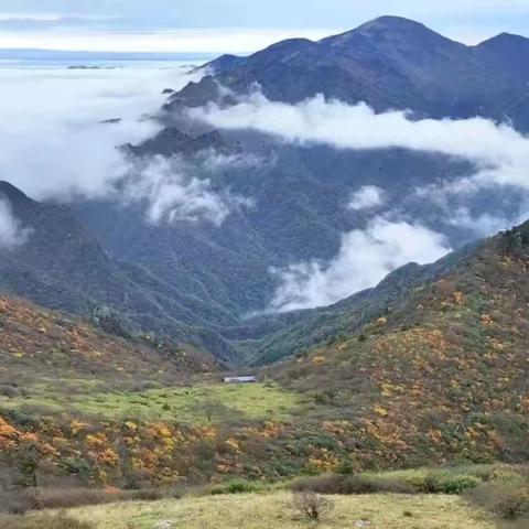 【未央学前·环境保护】“守护中央水塔 当好秦岭卫士”—兴盛园幼儿园秦岭生态环境保护宣传