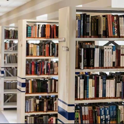 乘风而上，并肩同行——五级部图书录入工作