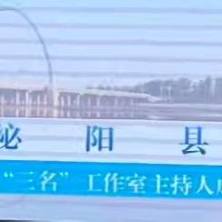 小组讨论促发展 河南省中小学教师素质提升工程（2023）泌阳县初中学段“名师名校长名班主任”工作室规划和实践活动成果展示