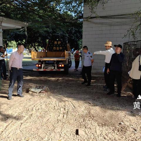 省爱卫办组织专家对黄流镇病媒生物防制工作进行复核