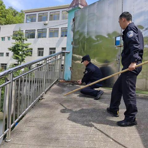 起点遇“不速之客”，民警化身“捕蛇达人”