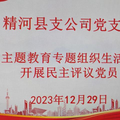 学习贯彻习近平新时代中国特色社会主义思想主题教育专题组织生活会