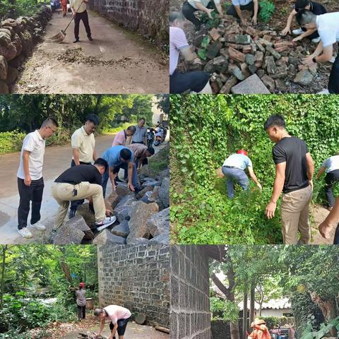 【人居环境整治在行动】龙桥镇三角园村：高起点、高标准、高质量推进提升，扮靓美丽乡村