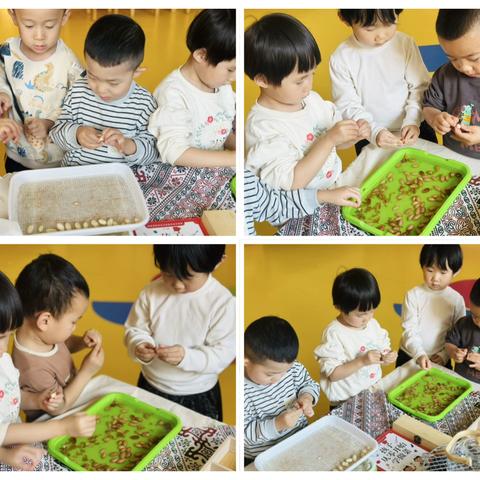 集宁区第六幼儿园小二班11月精彩回顾