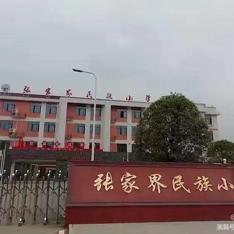 张家界民族小学综合2坊第五小组第七次研修