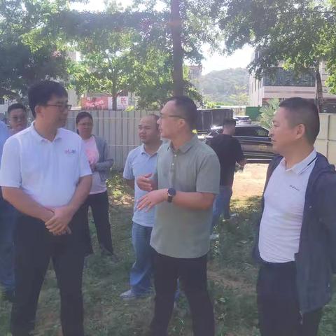 县政府副县长任恒伟到光坡镇调研项目建设推进情况