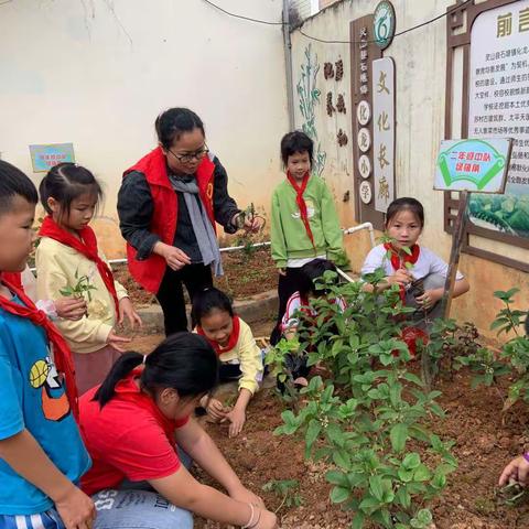 保护生态环境，我们应该怎样做？——灵山县石塘镇化龙小学  宣