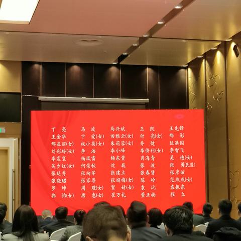 高谈龘龘谋发展，赤心燚燚绘新图 ——民进莲湖工委会员参加莲湖区两会会议掠影