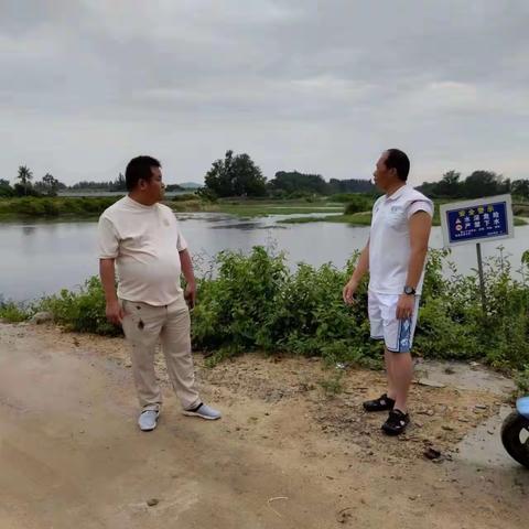 三才镇党委书记陈世洪实地检查防风防汛工作