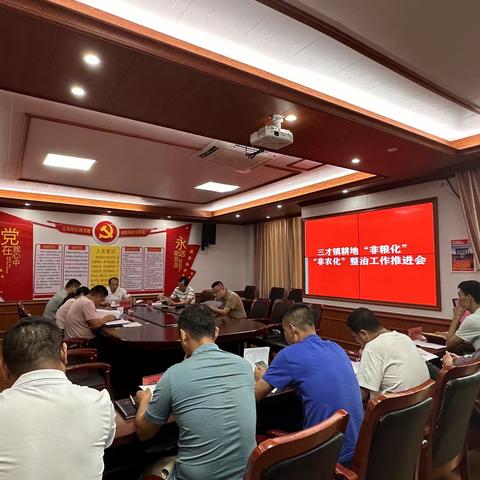 三才镇召开耕地“非粮化”“非农化”整治工作推进会