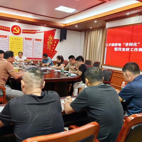 三才镇召开耕地“非粮化”“非农化”整改复耕工作调度会