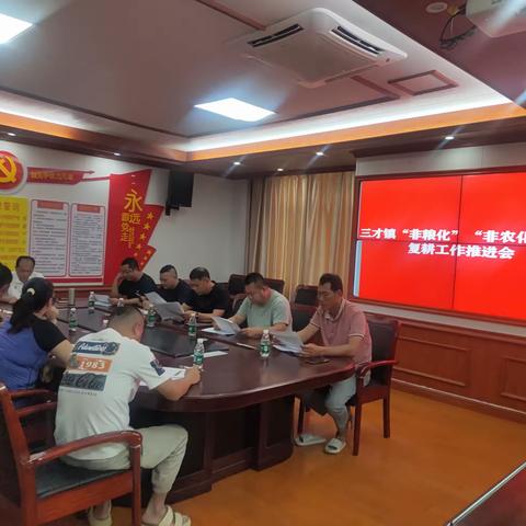 三才镇召开“非粮化”“非农化”整改复耕工作推进会