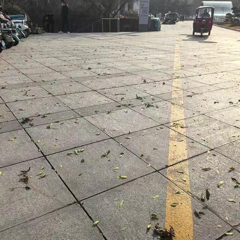 落叶纷飞，保洁员用心守护美好环境