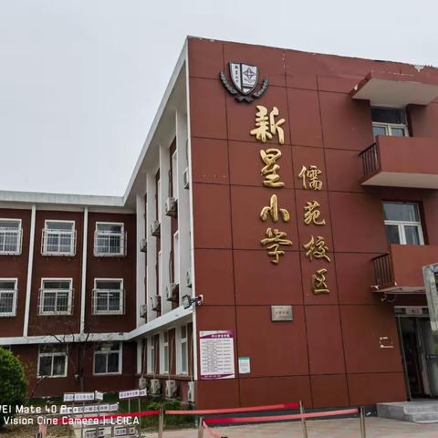 莫负春光好，青春正当时——天津师范大学教育学部小学教育专业2020级南开区新星小学儒苑组实习（一）