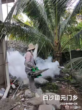 2024年10月4日:海南德安欣有害生物防治科技有限公司对白沙黎族自治县元门乡进行登革热防控工作汇报