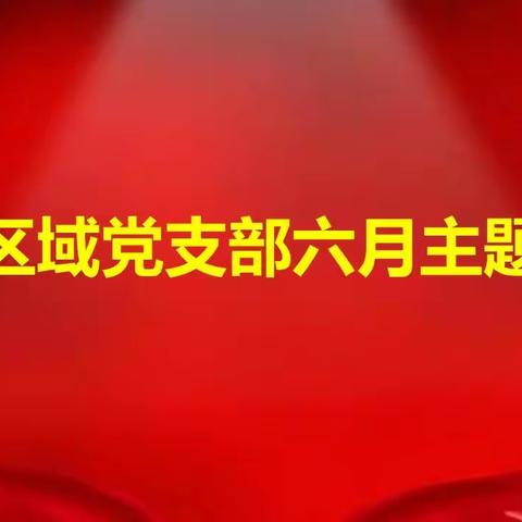 内化党纪于心  笃行奋进力量——中百仓储荆宜支部开展6月支部主题党日活动