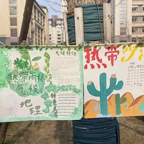 🌍 徜徉时空，触摸文明 ——文综特色作业展现场直击