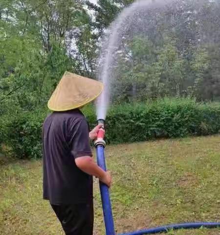 打药除虫护绿植 科学防治促生长