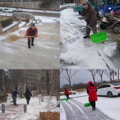 以雪为令 闻雪而动——公园服务中心积极开展清雪保畅通工作