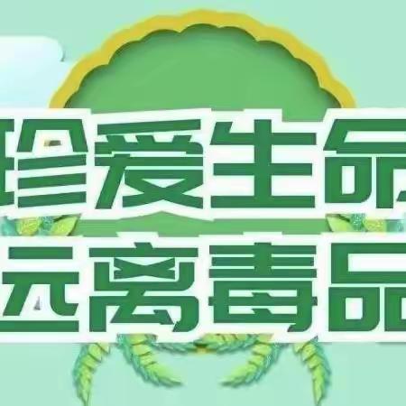 【劳动赋能】珍爱生命，远离毒品——硖石小学四4班禁毒主题实践活动