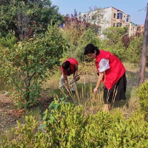 【文明实践】夏日炎炎 志愿服务不停歇