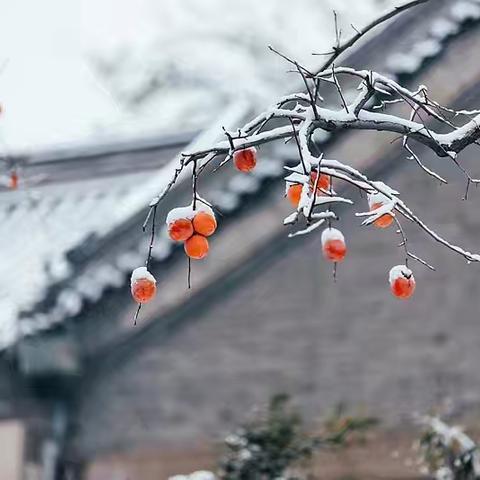 情暖冬至 “饺”动人心
