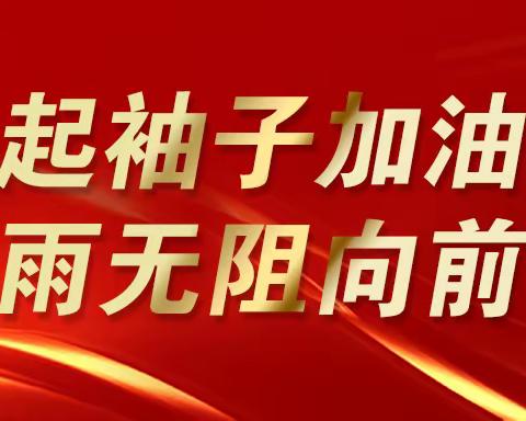 大名县卫生健康局组织各支部党员干部深入社区、分包小区、分包路段进行“双报到”，开展供暖排查、清理积雪活动（12月23日）