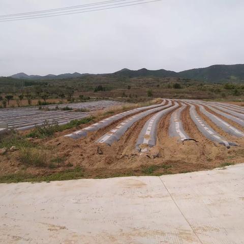 万德街道   垦荒种地  扎根农村的致富带头人