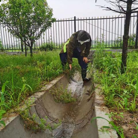 织牢织密防汛平安网