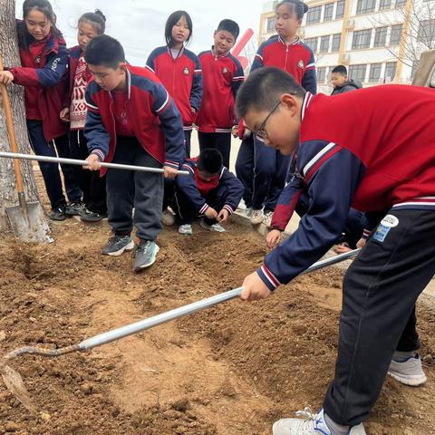 万象“耕”新，不负春光——乐义实验小学开展劳动教育实践基地春耕活动