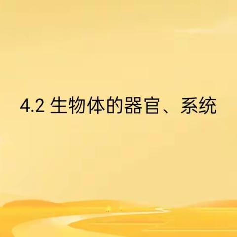 教研促成长，交流共进步——孙堡营中学初中生物教研活动