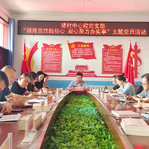 堤村中心校党支部 “锤炼党性践初心 凝心聚力办实事”主题党日活动