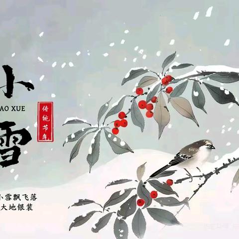 “遇见小雪 冬意渐浓”——蒙阴县第一实验小学商城幼儿园小雪节气主题活动