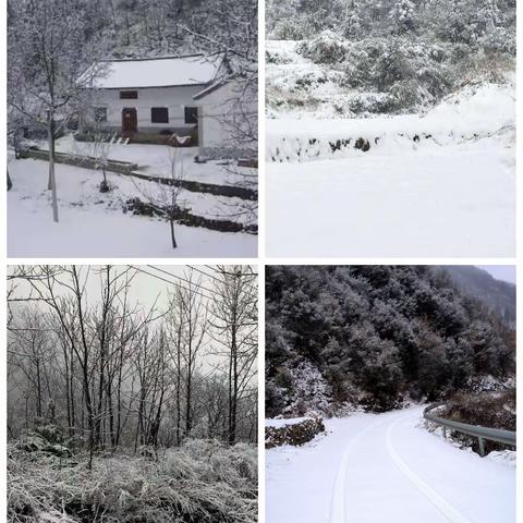 冬日暖人心，扫雪我先行