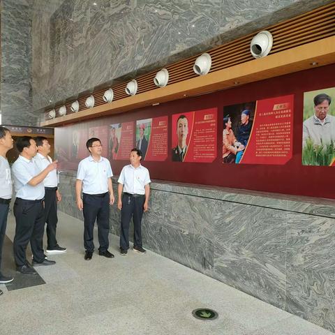 拍石头乡中心学校“读原著、学原文、悟原理”7月份主题党日活动总结