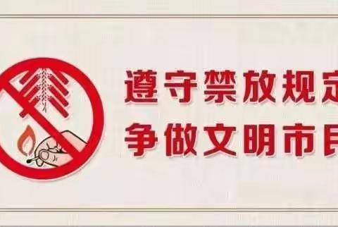 河西幼儿园禁放烟花爆竹倡议书