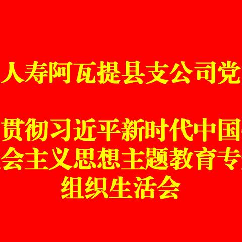 中国人寿阿瓦提县支公司党支部学习贯彻习近平新时代中国特色社会主义思想主题教育专题组织生活会