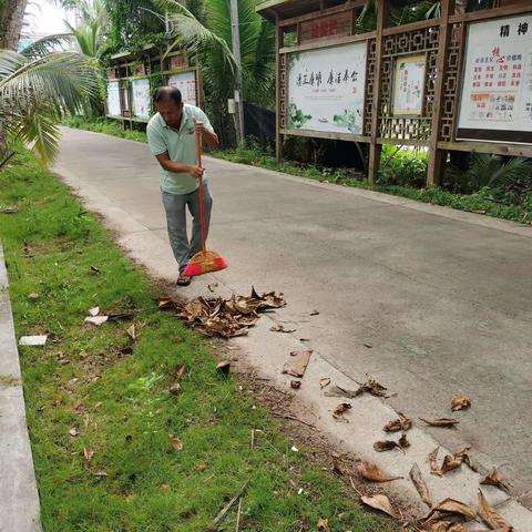 边海村委会开展人居环境整治活动