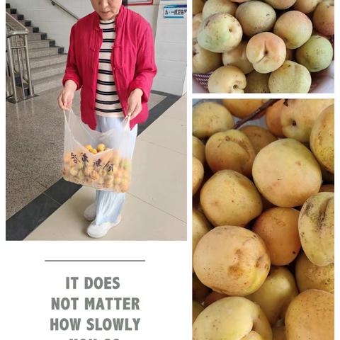 有“杏”在一起 幸福一家人