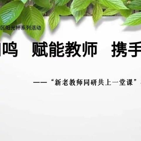 【87中小学南校区•教研动态】青蓝和鸣  赋能教师  携手共进——新老教师共研共上研讨课活动