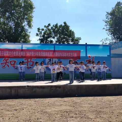 赵店子镇新起点幼儿园——“遇见美好， 童年闪亮”文艺汇演活动